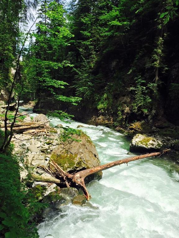 Hotel Garni Regina Oberstdorf Kültér fotó