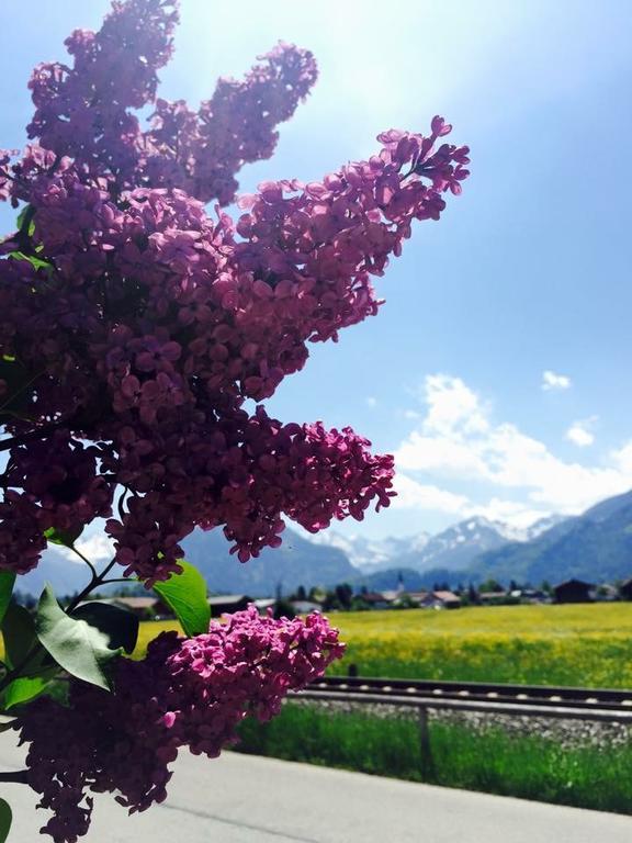 Hotel Garni Regina Oberstdorf Kültér fotó